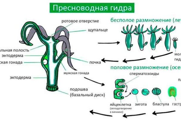 Зайти на сайт кракен