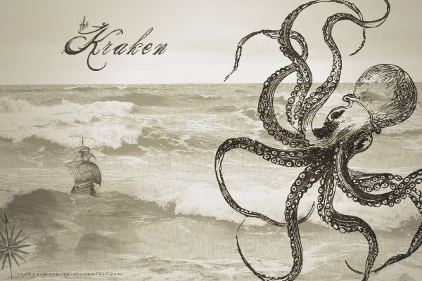 Kraken 24 top