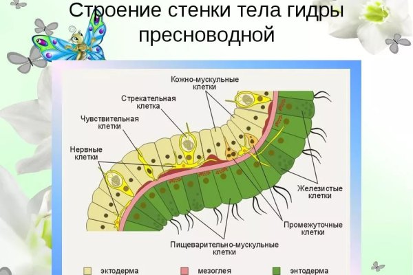 Кракен сайт сегодня