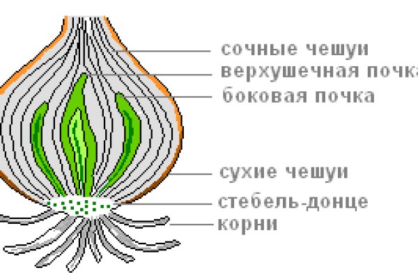 Что за приложение кракен